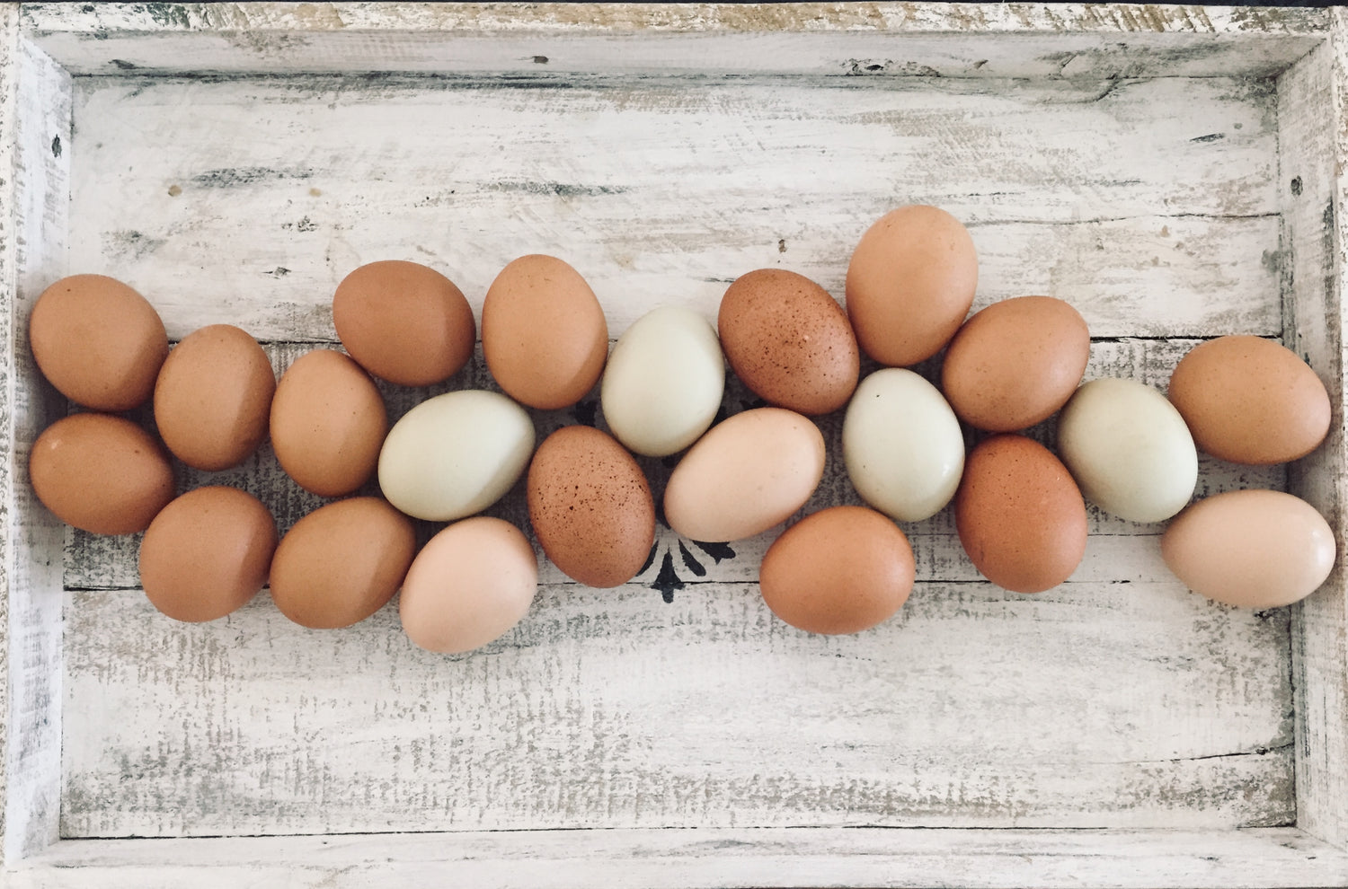Eggs, Produce, and More