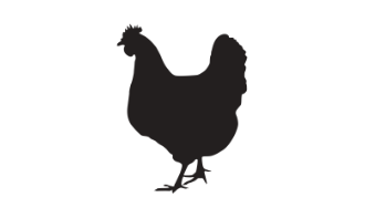 Pasture Raised Poultry