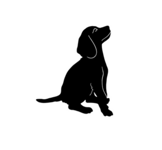Raw Pet Food