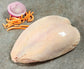 Chicken Breast - Whole - Bone-in Skin-on ($10/lb)