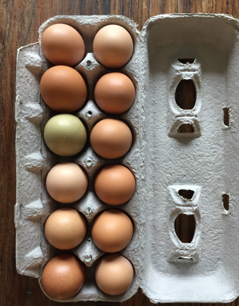 Eggs (1 dozen) - Add On Item ONLY